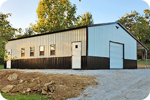 Eagle building sample